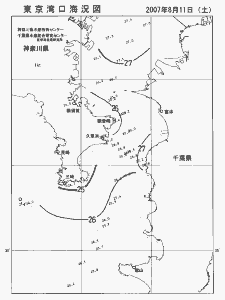 東京湾口海況図(2007/08/11)