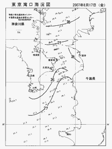 東京湾口海況図(2007/08/17)