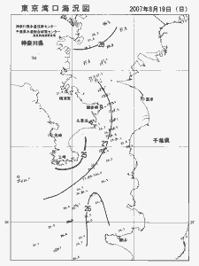 東京湾口海況図(2007/08/19)