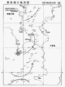 東京湾口海況図(2007/08/24)