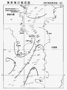 東京湾口海況図(2007/08/29)