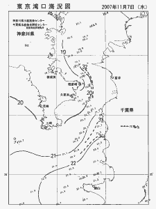 東京湾口海況図(2007/11/07)