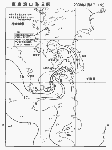 東京湾口海況図(2008/01/08)