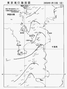 東京湾口海況図(2008/01/13)