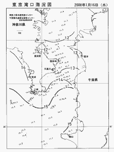 東京湾口海況図(2008/01/16)