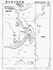 東京湾口海況図(2008/01/20)
