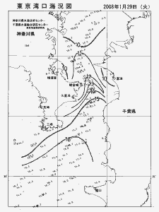 東京湾口海況図(2008/01/29)