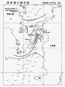 東京湾口海況図(2008/01/30)