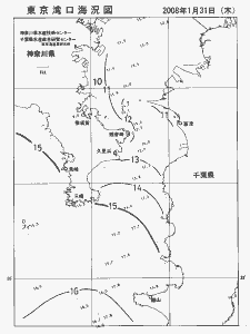 東京湾口海況図(2008/01/31)