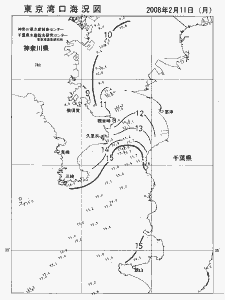 東京湾口海況図(2008/02/11)