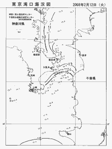 東京湾口海況図(2008/02/12)