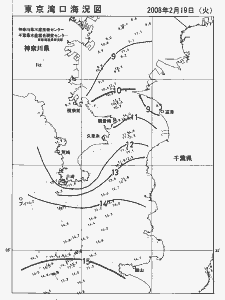 東京湾口海況図(2008/02/19)
