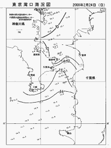東京湾口海況図(2008/02/24)