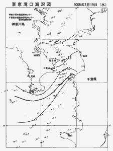 東京湾口海況図(2008/03/19)
