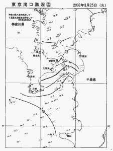 東京湾口海況図(2008/03/25)