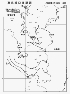 東京湾口海況図(2008/04/20)