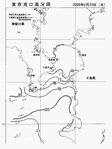 東京湾口海況図(2008/04/23)