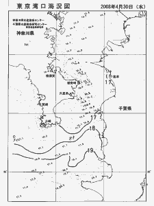 東京湾口海況図(2008/04/30)
