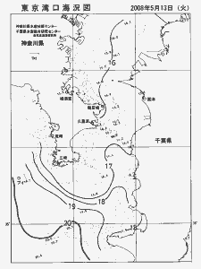 東京湾口海況図(2008/05/13)