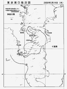 東京湾口海況図(2008/05/14)