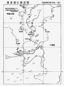 東京湾口海況図(2008/05/19)