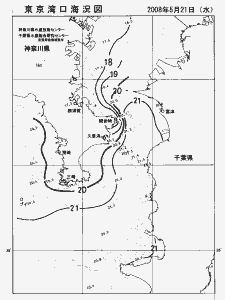東京湾口海況図(2008/05/21)