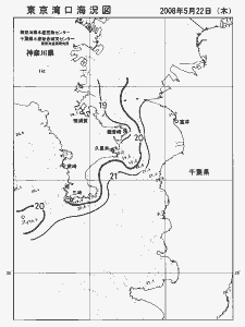 東京湾口海況図(2008/05/22)