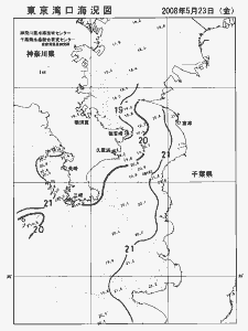 東京湾口海況図(2008/05/23)