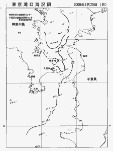 東京湾口海況図(2008/05/25)
