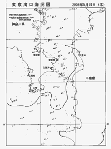 東京湾口海況図(2008/05/29)