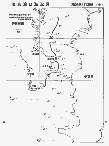 東京湾口海況図(2008/05/30)