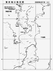 東京湾口海況図(2008/06/07)