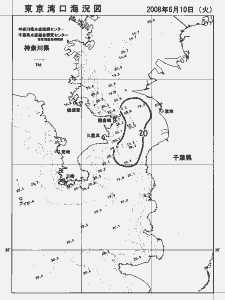 東京湾口海況図(2008/06/10)
