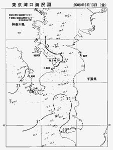 東京湾口海況図(2008/06/13)