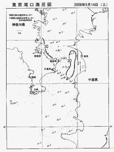 東京湾口海況図(2008/06/14)