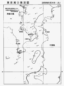 東京湾口海況図(2008/06/24)