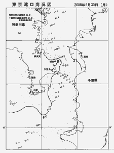 東京湾口海況図(2008/06/30)