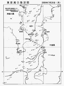 東京湾口海況図(2008/07/28)