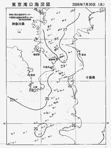 東京湾口海況図(2008/07/30)
