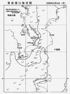 東京湾口海況図(2008/08/04)