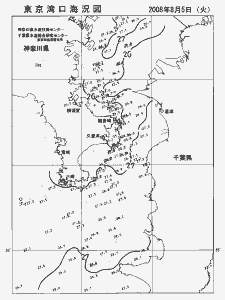 東京湾口海況図(2008/08/05)