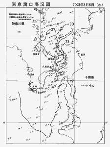 東京湾口海況図(2008/08/06)