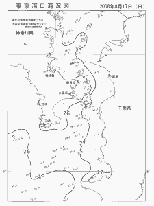 東京湾口海況図(2008/08/17)