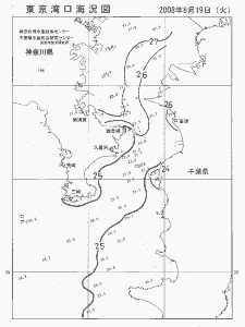 東京湾口海況図(2008/08/19)