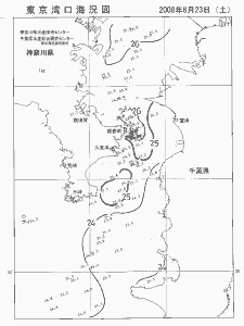 東京湾口海況図(2008/08/23)