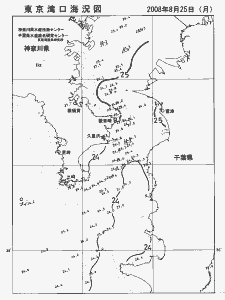 東京湾口海況図(2008/08/25)
