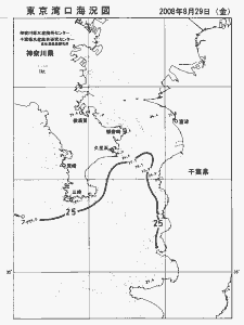 東京湾口海況図(2008/08/29)