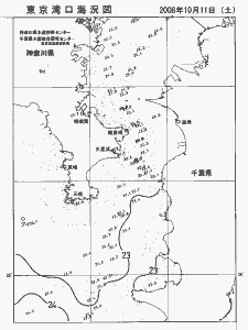東京湾口海況図(2008/10/11)