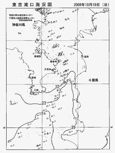 東京湾口海況図(2008/10/19)