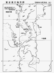 東京湾口海況図(2008/10/28)